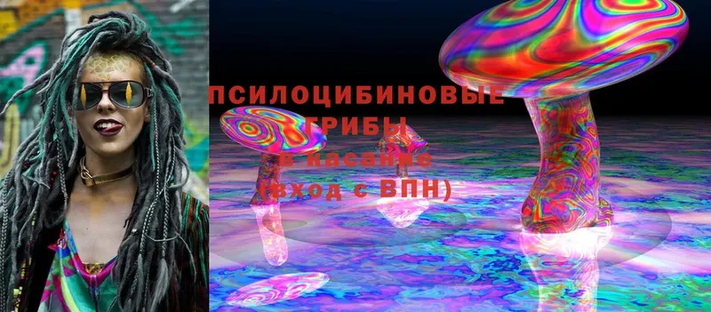 Галлюциногенные грибы Psilocybine cubensis  хочу   Комсомольск-на-Амуре 